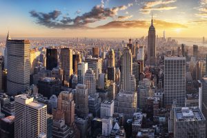 Bovill US makes first New York appointment