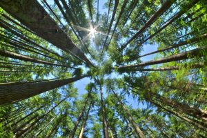 SFDR brings new ESG disclosure rules for asset managers New ESG Disclosures for asset managers